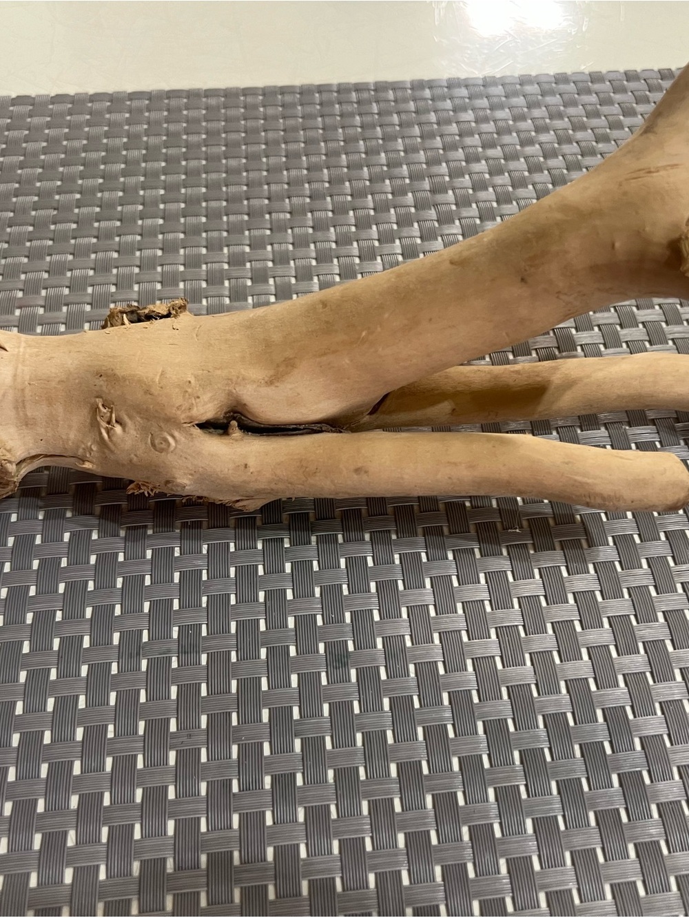 Decorative Natural Wood Branch